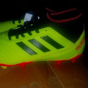 Adidas predator